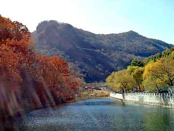 管家婆黑白马报图库，星空小说